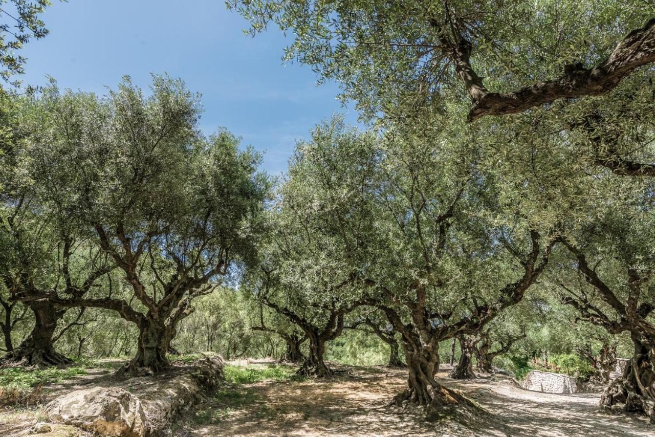 Agrikia Villa Langadhákia Esterno foto